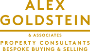Alex Goldstein